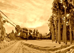 Sepia