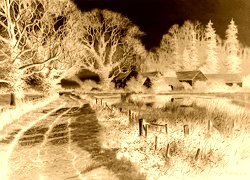 Sepia + Negatyw