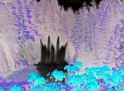Negatyw