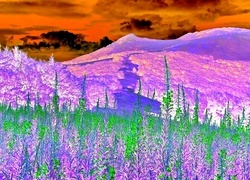 Negatyw