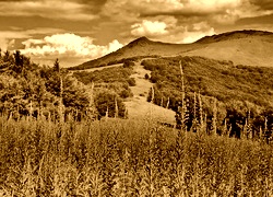 Sepia