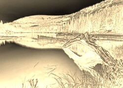 Sepia + Negatyw