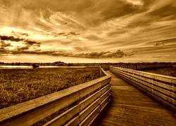 Sepia