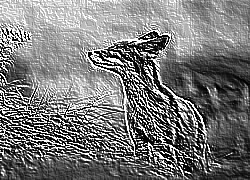 Skamielina
