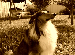 Sepia