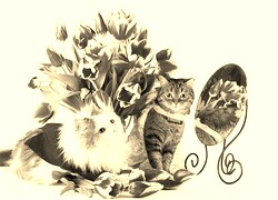 Szary + Sepia