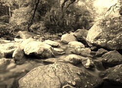Sepia