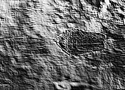 Skamielina