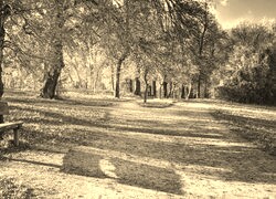 Szary + Sepia