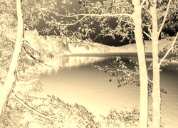 Sepia + Negatyw