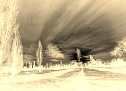 Sepia + Negatyw