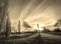 Szary + Sepia
