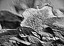 Skamielina