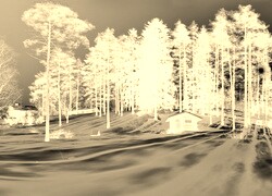 Sepia + Negatyw