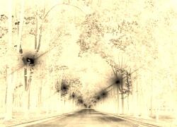 Sepia + Negatyw