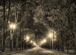 Szary + Sepia
