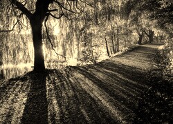 Sepia
