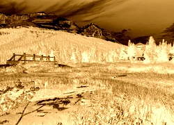 Sepia + Negatyw