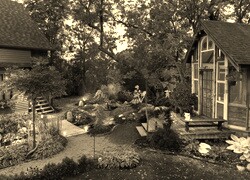 Szary + Sepia