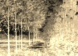 Sepia + Negatyw