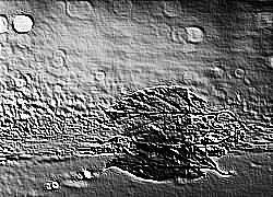 Skamielina