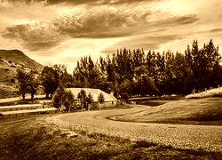 Sepia