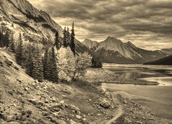 Szary + Sepia