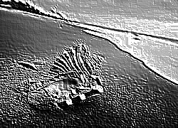 Skamielina