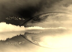 Sepia + Negatyw