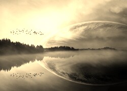 Szary + Sepia