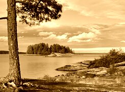 Sepia