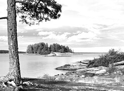 Szary + Sepia