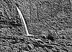 Skamielina