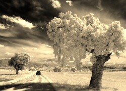 Sepia