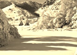 Szary + Sepia