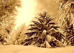 Sepia
