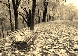 Szary + Sepia