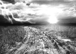 Szary + Sepia