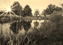 Szary + Sepia