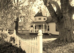 Sepia