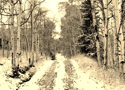 Szary + Sepia