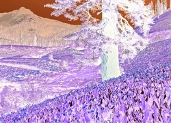 Negatyw