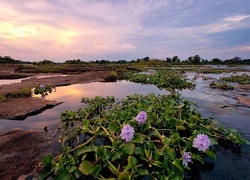 Oryginalny obrazek