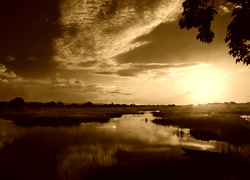 Sepia