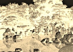 Sepia + Negatyw
