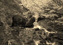 Sepia