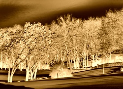 Sepia + Negatyw