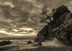 Szary + Sepia