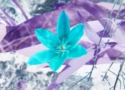 Negatyw