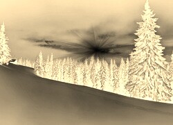Sepia + Negatyw